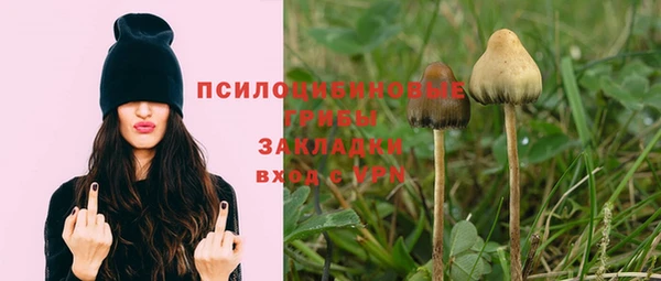 а пвп мука Бронницы