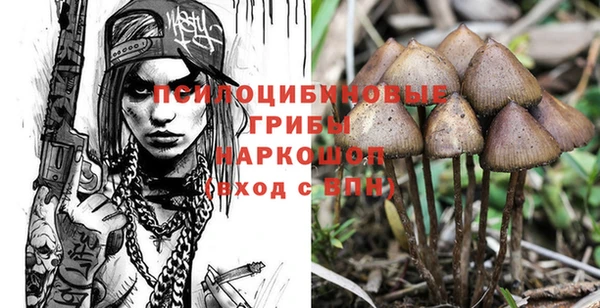а пвп мука Бронницы