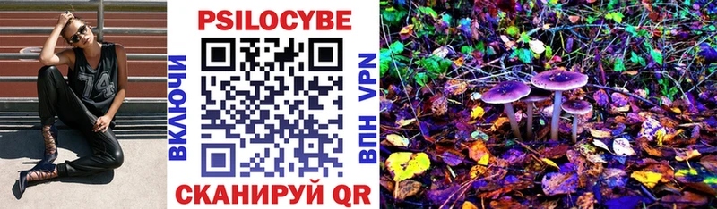 Псилоцибиновые грибы GOLDEN TEACHER где купить наркоту даркнет клад Острогожск